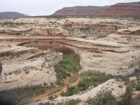 Natural Bridge NM